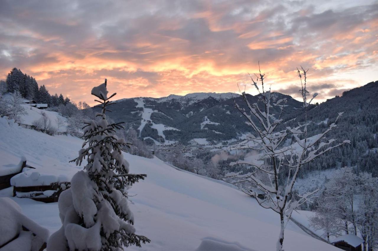 Appartamento Bio Bauernhof Oberbenk Wagrain Esterno foto