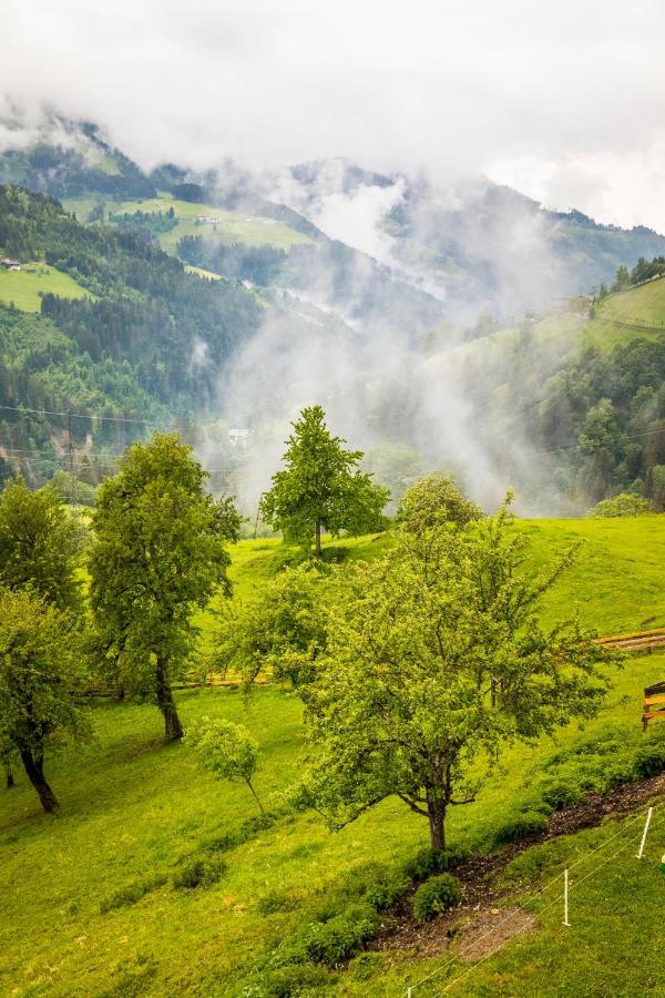 Appartamento Bio Bauernhof Oberbenk Wagrain Esterno foto