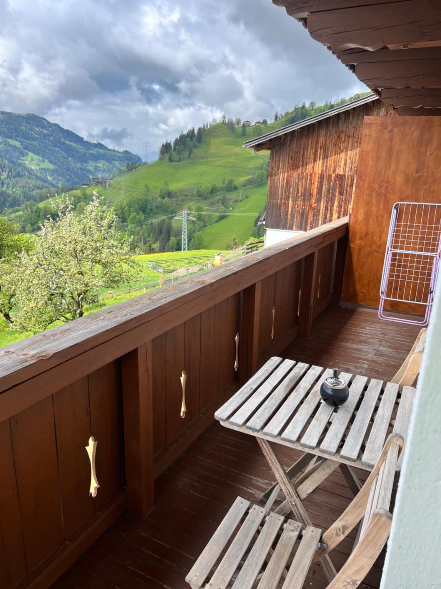 Appartamento Bio Bauernhof Oberbenk Wagrain Esterno foto