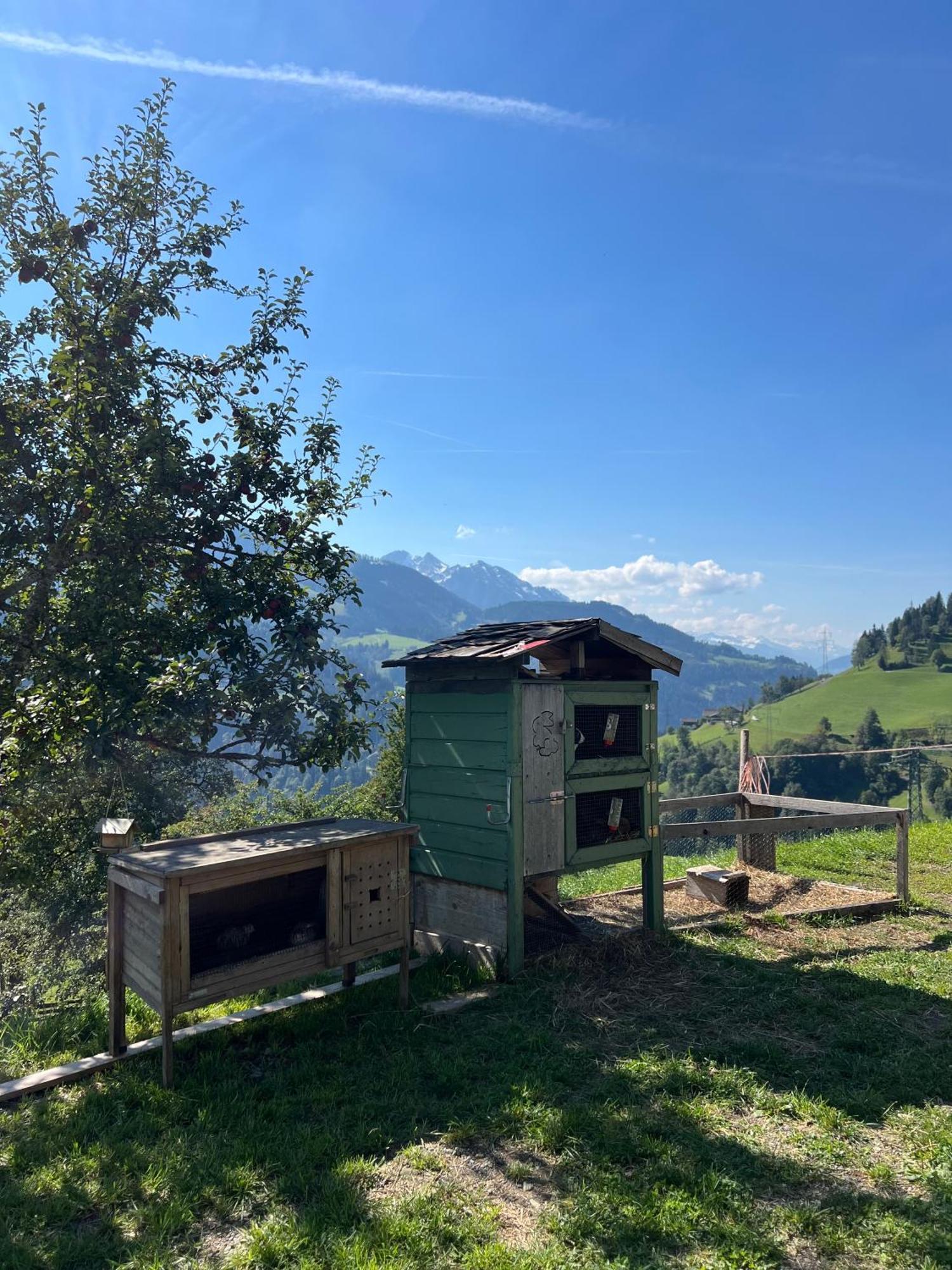 Appartamento Bio Bauernhof Oberbenk Wagrain Esterno foto