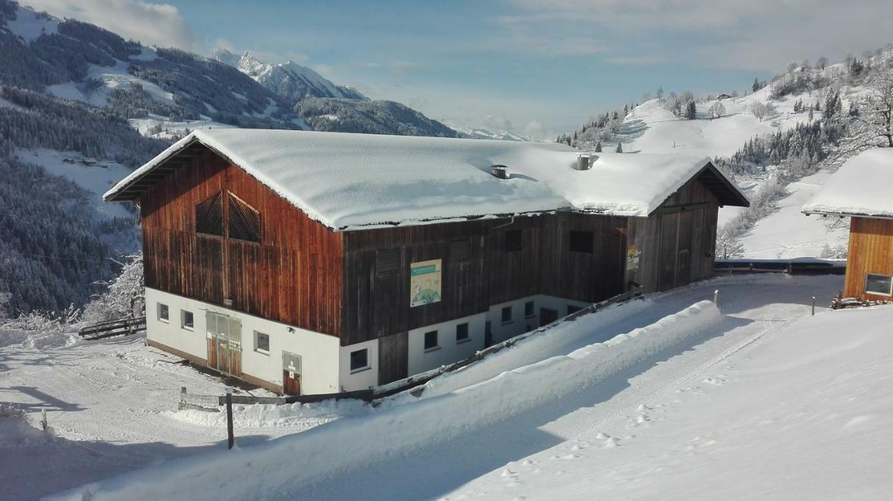 Appartamento Bio Bauernhof Oberbenk Wagrain Esterno foto