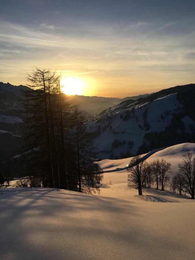 Appartamento Bio Bauernhof Oberbenk Wagrain Esterno foto