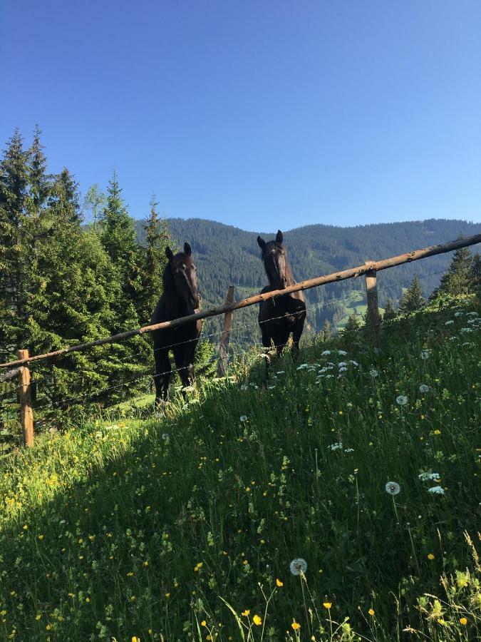 Appartamento Bio Bauernhof Oberbenk Wagrain Esterno foto