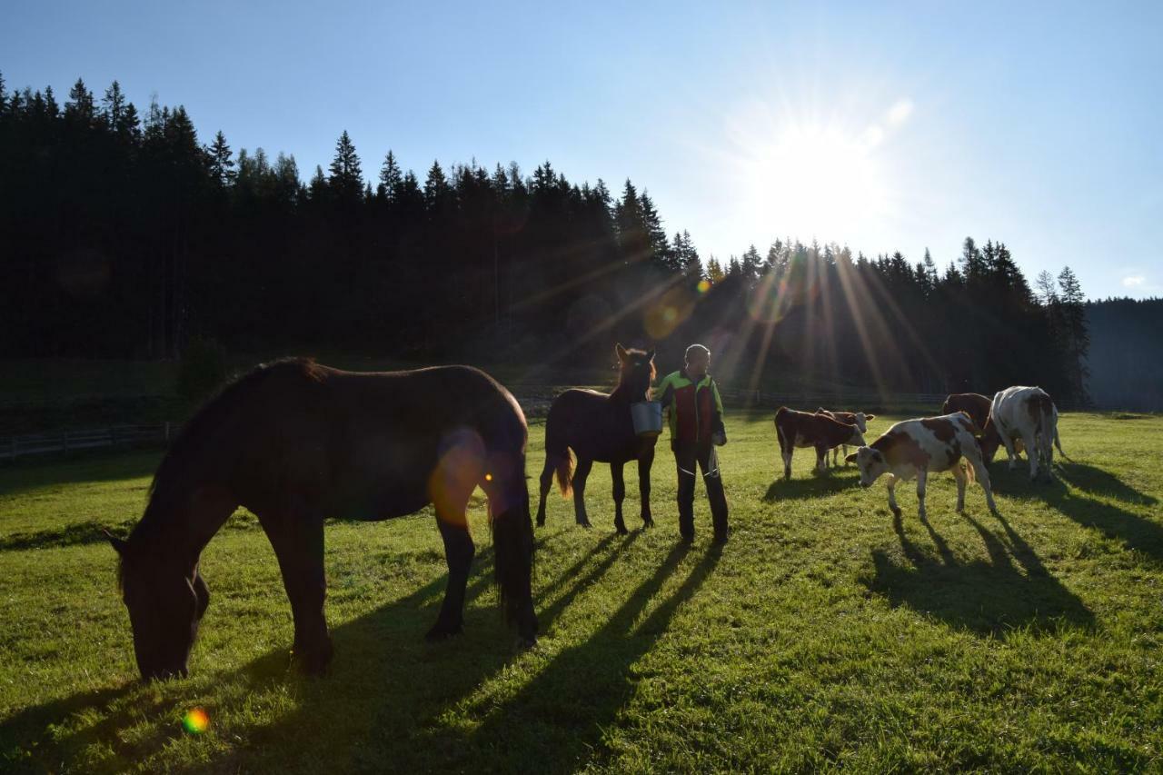Appartamento Bio Bauernhof Oberbenk Wagrain Esterno foto