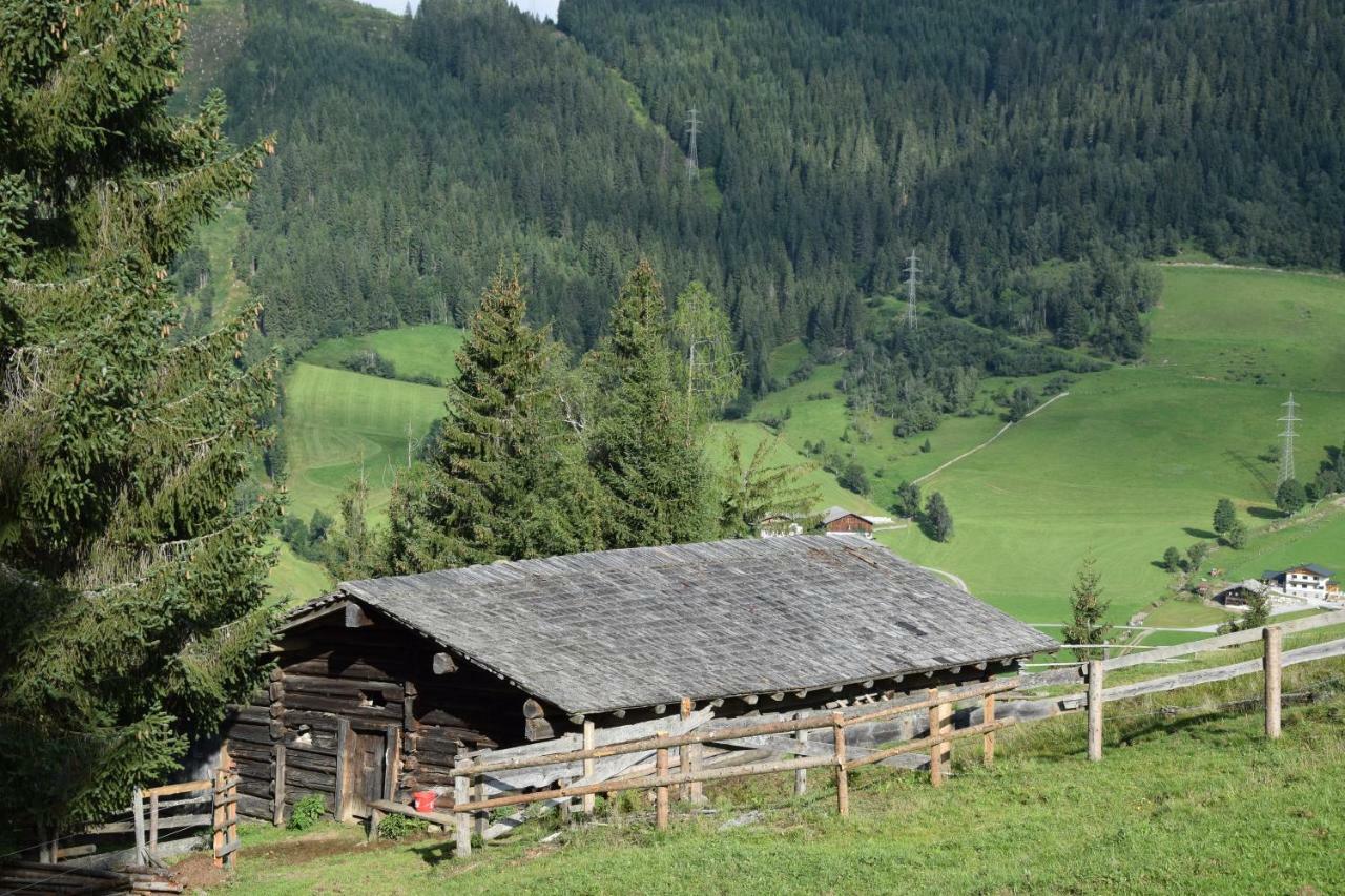 Appartamento Bio Bauernhof Oberbenk Wagrain Esterno foto