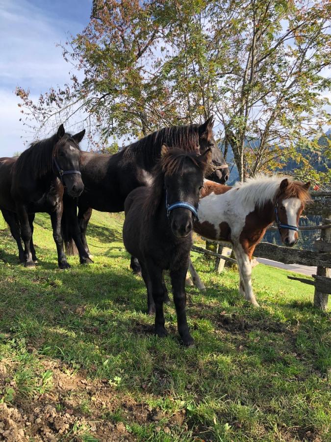 Appartamento Bio Bauernhof Oberbenk Wagrain Esterno foto